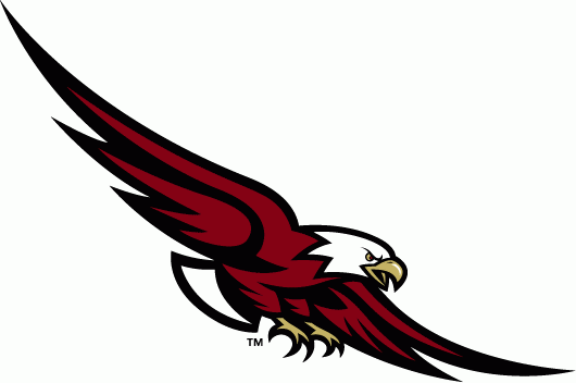 Boston College Eagles 2001-Pres Alternate Logo v2 diy DTF decal sticker